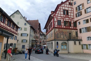 Rhine Falls & Stein am Rhein: Private Tour with a Local