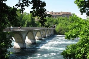 De Zurique: excursão às Cataratas do Reno, incluindo passeio de barco