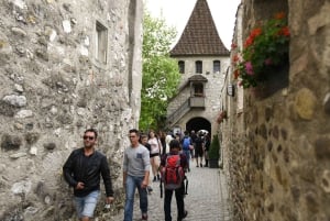 Fra Zürich til Rhinens vandfald