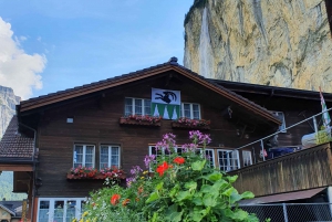 From Zurich: Waterfalls Valley & Aareschlucht Gorge Day Tour