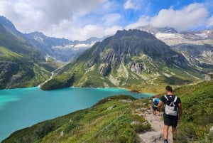 Escursione di un'intera giornata sulle Alpi svizzere e al lago con pick-up