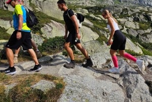 Escursione di un'intera giornata sulle Alpi svizzere e al lago con pick-up