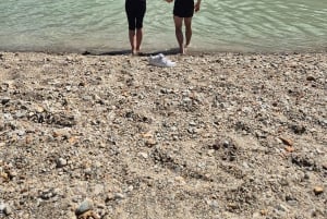 Escursione di un'intera giornata sulle Alpi svizzere e al lago con pick-up