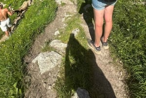 Escursione di un'intera giornata sulle Alpi svizzere e al lago con pick-up