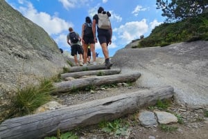Escursione di un'intera giornata sulle Alpi svizzere e al lago con pick-up