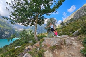 Escursione di un'intera giornata sulle Alpi svizzere e al lago con pick-up