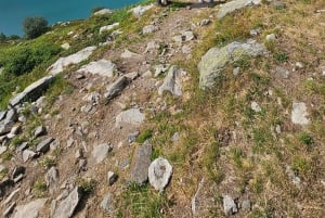 Escursione di un'intera giornata sulle Alpi svizzere e al lago con pick-up