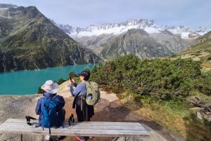 Escursione di un'intera giornata sulle Alpi svizzere e al lago con pick-up