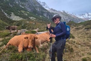 Escursione di un'intera giornata sulle Alpi svizzere e al lago con pick-up