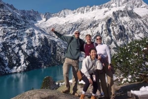 Escursione di un'intera giornata sulle Alpi svizzere e al lago con pick-up