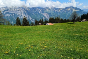 Interlaken: Highlights Tour with a Local by Private Car