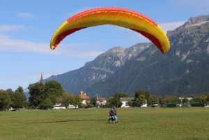 Interlaken: Highlights Tour med en lokal med privat bil