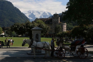 Interlaken: Highlights Tour med en lokal med privat bil