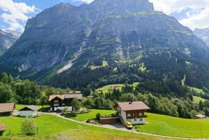Interlaken: Highlights Tour med en lokal med privat bil