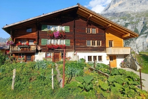 Interlaken: Highlights Tour med en lokal med privat bil