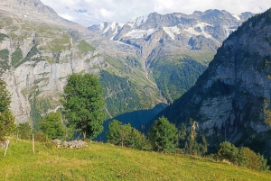 Interlaken: Highlights Tour med en lokal med privat bil