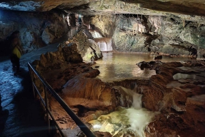 Interlaken: Highlights Tour med en lokal med privat bil