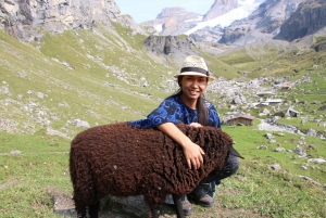 Interlaken: Private Hiking Tour Oeschinen Lake & Blue Lake