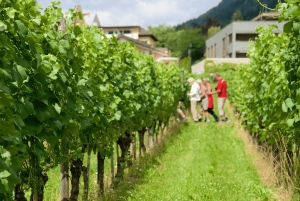 Liechtenstein: Juusto, viinitila ja Läderach-yksityiskierros