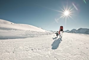 Luzern: Schneemobil-Abenteuer auf dem Titlis