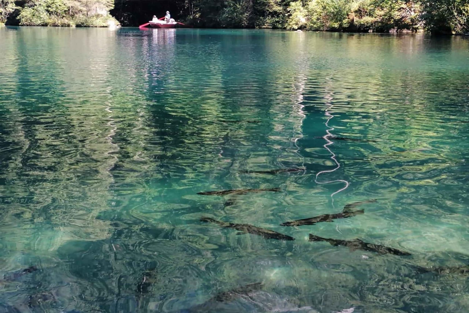 Lucerna lub Zurych: jednodniowa wycieczka do Interlaken i Lauterbrunnen