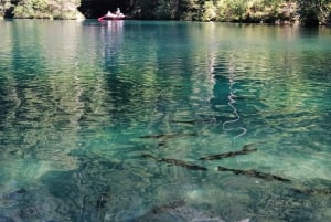 Lucerne or Zurich: Interlaken and Lauterbrunnen Day Tour