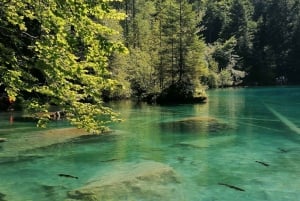 Lucerne or Zurich: Interlaken and Lauterbrunnen Day Tour