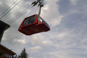 Однодневная поездка для небольшой группы из Цюриха на гору Пилатус с золотым туром