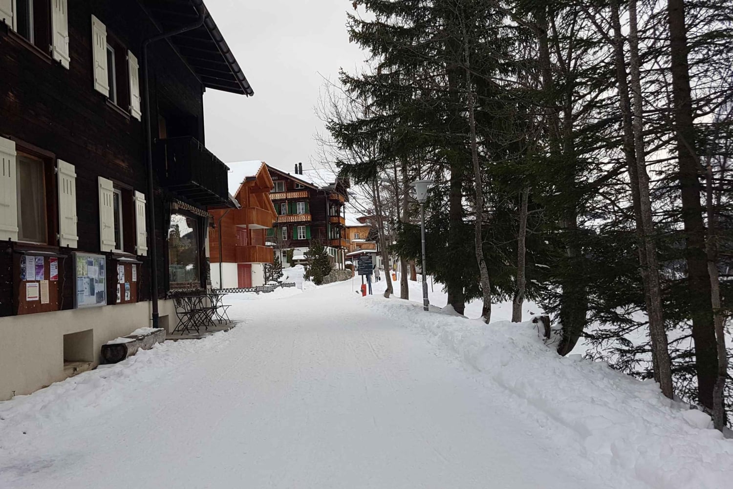 Privater Tagestour zum Schilthorn und nach Mürren ab Zürich