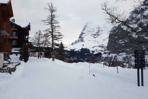 Privater Tagestour zum Schilthorn und nach Mürren ab Zürich