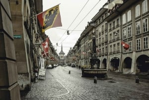 Düsseldorf: Viagem de um dia a Bruxelas, tour privado.