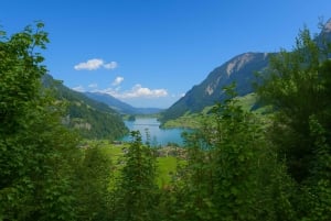 Mürren, Lauterbrunnen og Grindelwald privat tur fra Zürich