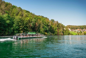 Neuhausen am Rheinfall: Rhine Falls Boat Tour