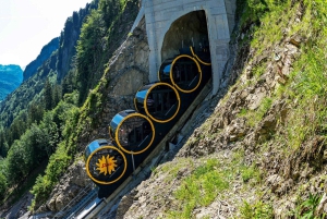 Persoonlijk begeleide dagtour vanuit Zürich – volledig aanpasbaar