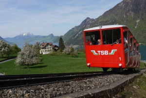Persoonlijk begeleide dagtour vanuit Zürich – volledig aanpasbaar