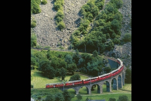 Persoonlijk begeleide dagtour vanuit Zürich – volledig aanpasbaar