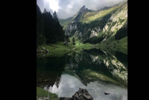 Persoonlijk begeleide dagtour vanuit Zürich – volledig aanpasbaar