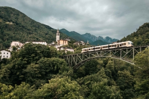 Persoonlijk begeleide dagtour vanuit Zürich – volledig aanpasbaar