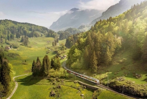 Persoonlijk begeleide dagtour vanuit Zürich – volledig aanpasbaar
