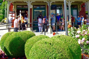 Persoonlijk begeleide dagtour vanuit Zürich – volledig aanpasbaar