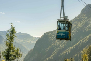 Persoonlijk begeleide dagtour vanuit Zürich – volledig aanpasbaar