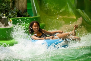 Pfäffikon: Alpamare Water Park Entry Ticket