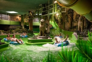 Pfäffikon : Billets d'entrée au parc aquatique Alpamare