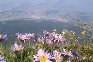 Pilatus-vuori: kultainen kierros pienelle ryhmälle Zürichistä