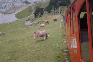 Pilatus Gouden Rondreis: Rondleiding voor kleine groepen vanuit Luzern