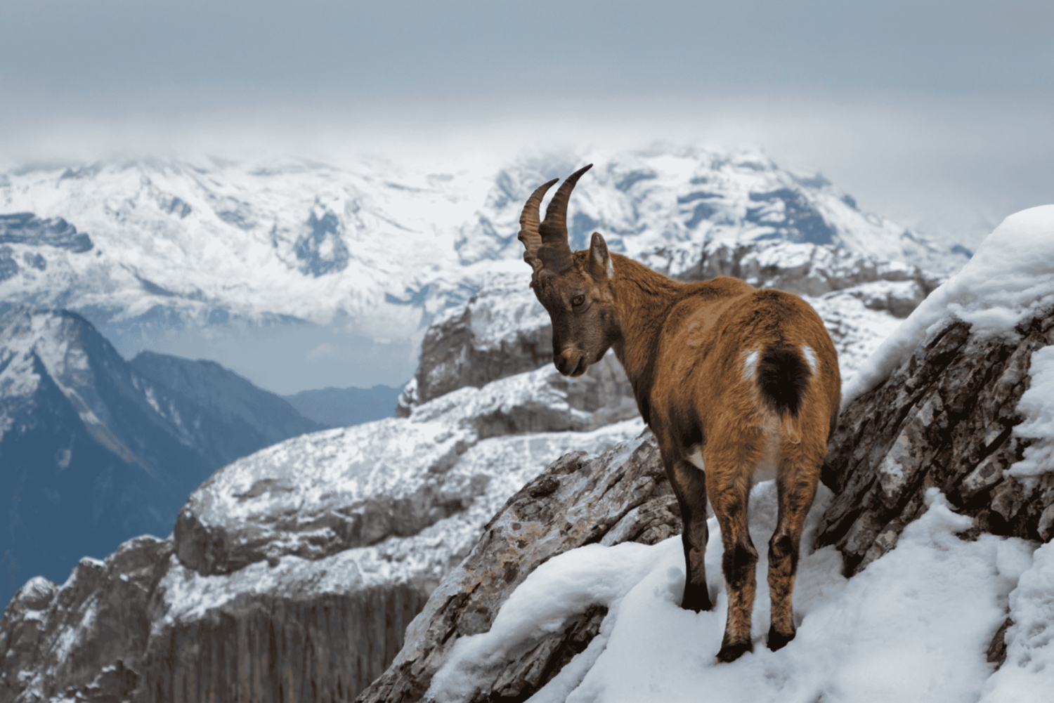 Pilatus & Luzern: Private Tagestour