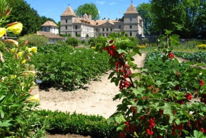 Prangins, Genèvesjøen: Château de Prangins Inngangsbillett
