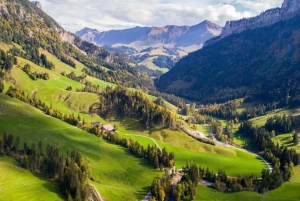 Из Цюриха в Берн/Эмменталь: частный тур на автомобиле, посвященный сыру и культуре.