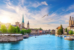 Private day trip: Basel to Zurich, English-Speaking driver