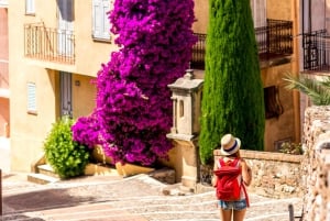 Private day trip from Monaco to the gems of French Riviera